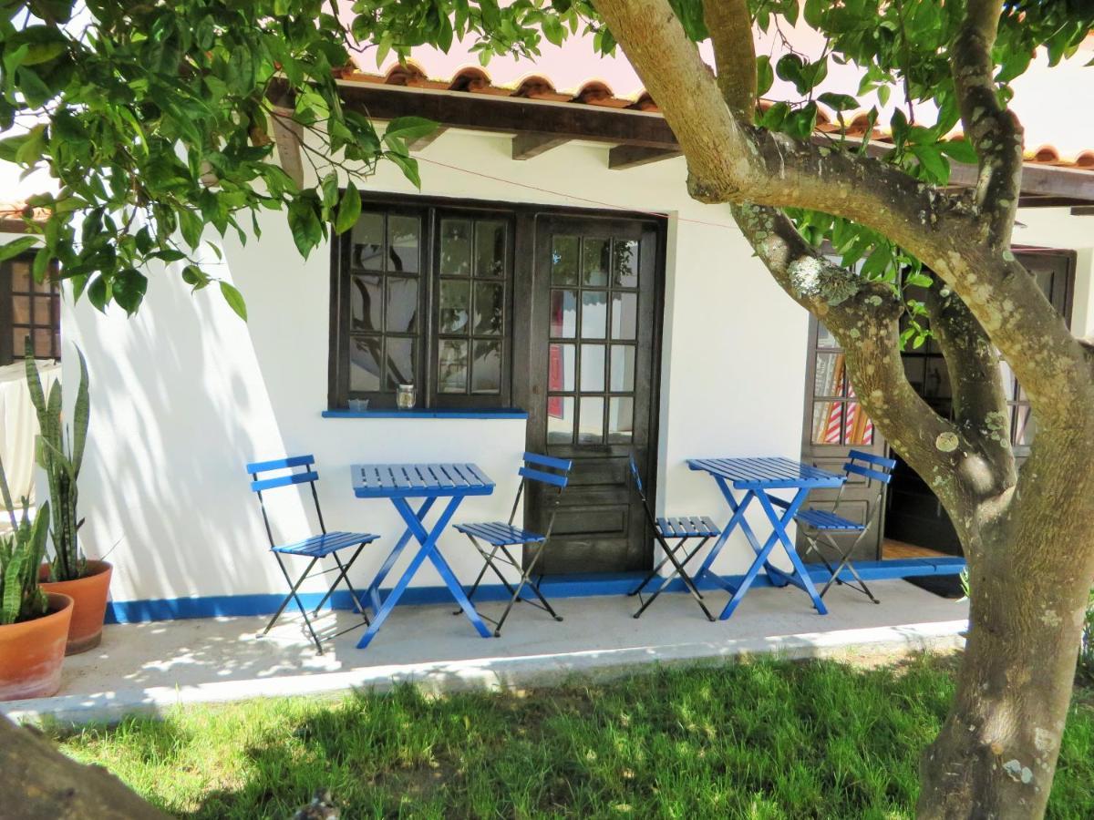 Lemon Tree House By Stay In Alentejo Вила-Нова-де-Мильфонт Экстерьер фото
