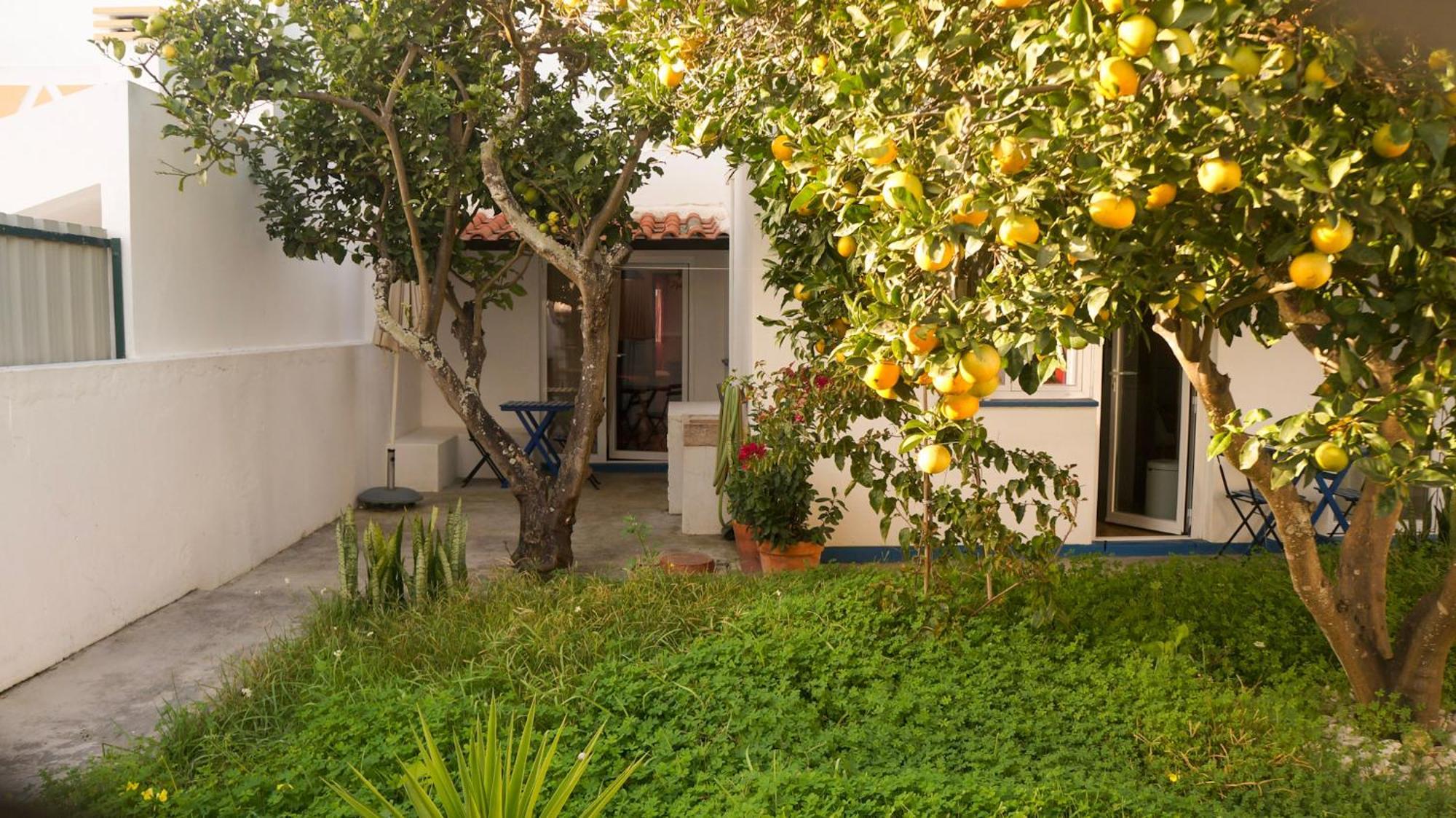 Lemon Tree House By Stay In Alentejo Вила-Нова-де-Мильфонт Экстерьер фото